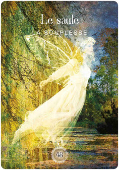 L'oracle de la forêt sacrée