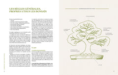 L'art du bonsaï - Guide pratique et philosophique