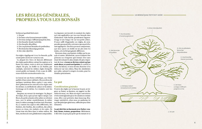 L'art du bonsaï - Guide pratique et philosophique