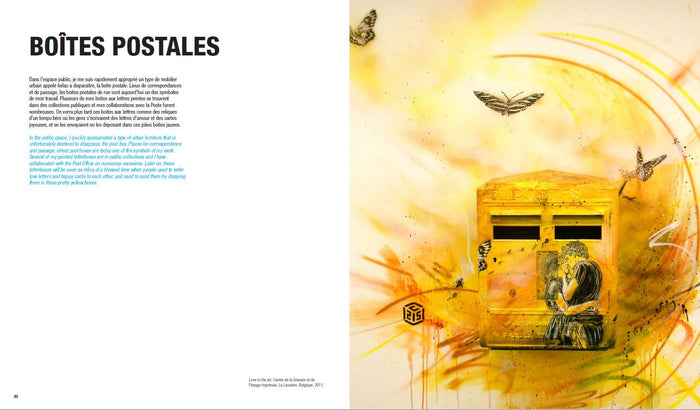 Le monde de C215, L'art du pochoir de rue