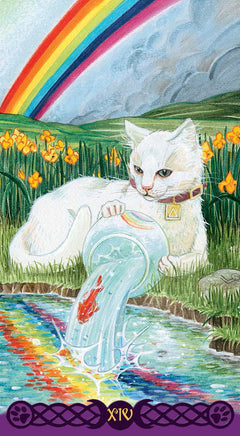 Coffret le tarot des chats païens