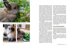 L'assiette nature du lapin heureux - Guide pour une alimentation saine et variée