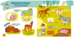 L'encyclo des super-curieux