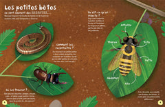 Les Insectes