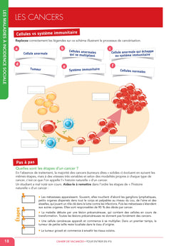 Le cahier de vacances pour réussir en première année d'infirmier(e)