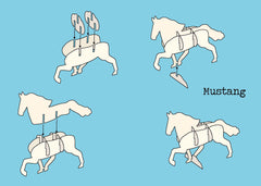 Construis en 3D - Chevaux