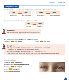 Ma grammaire pour apprendre le français