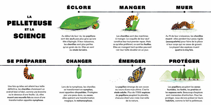 La pelleteuse et le papillon