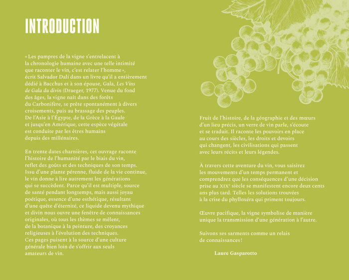 Le vin - Un peu, beaucoup, passionnément...