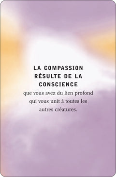 Le pouvoir du moment présent - 50 cartes d'inspiration