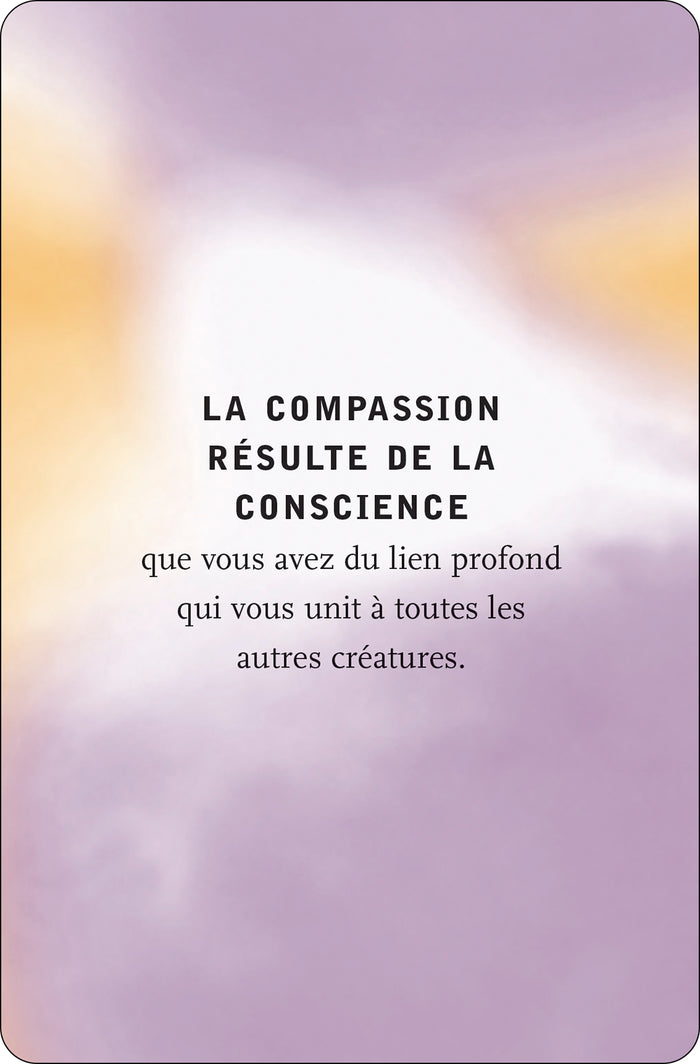 Le pouvoir du moment présent - 50 cartes d'inspiration