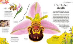 L'Anthologie insolite des plantes - Fleurs, arbres, graines et autres merveilles