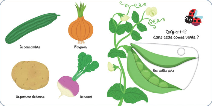 Mon imagier animé les légumes