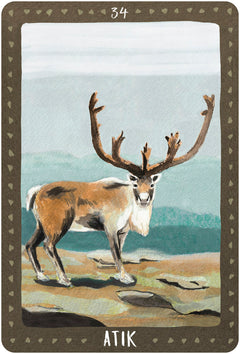 La médecine des animaux