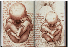 Léonard de Vinci. Tout l'œuvre peint