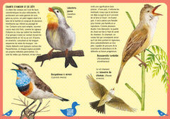 Guide des oiseaux du monde