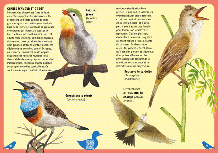 Guide des oiseaux du monde