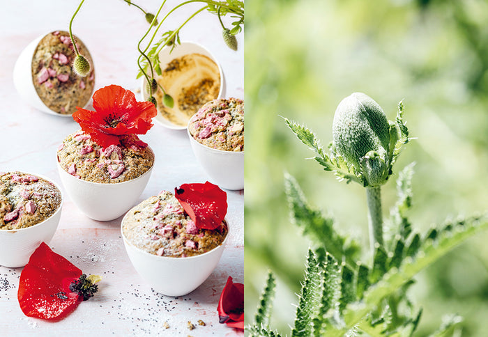 Chips de dahlias & Muffins aux coquelicots