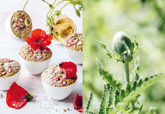 Chips de dahlias & Muffins aux coquelicots