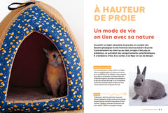Pourquoi mon lapin fait-il ça ?