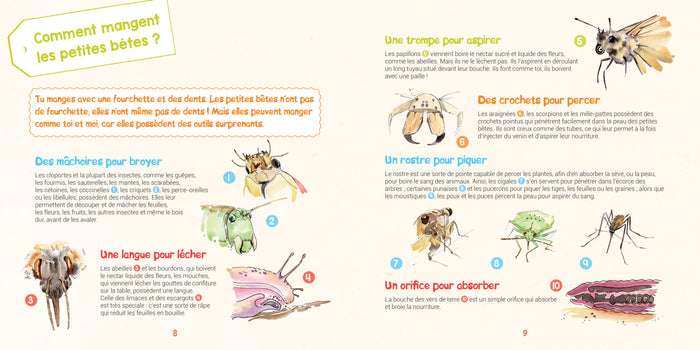 Je découvre les petites bêtes: Et j'apprends à les reconnaître