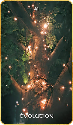 L'Oracle de la numérologie karmique