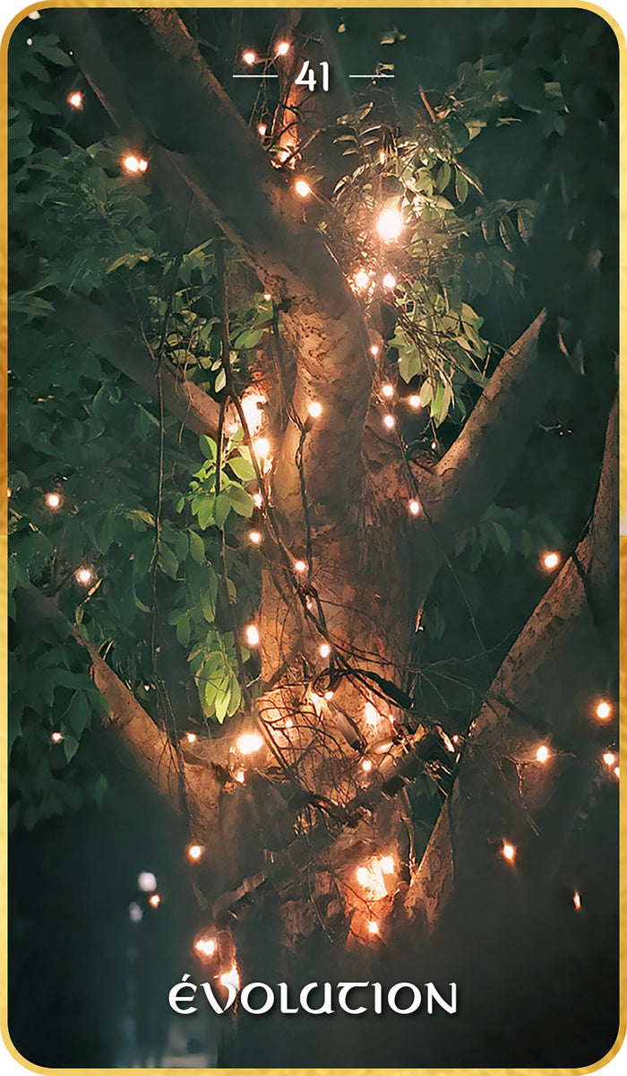 L'Oracle de la numérologie karmique