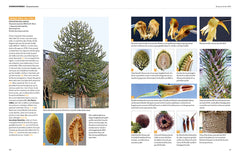 Dictionnaire visuel des arbres et arbustes communs