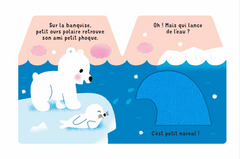 Cache-Cache petit ours polaire