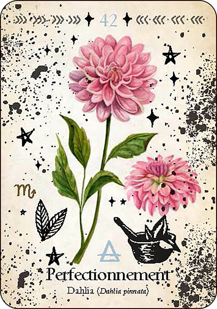 Oracle de la magie verte - Découvrez les vrais secrets de la magie botanique