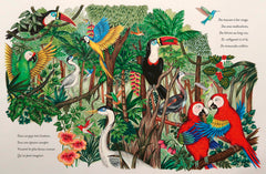 La légende du colibri