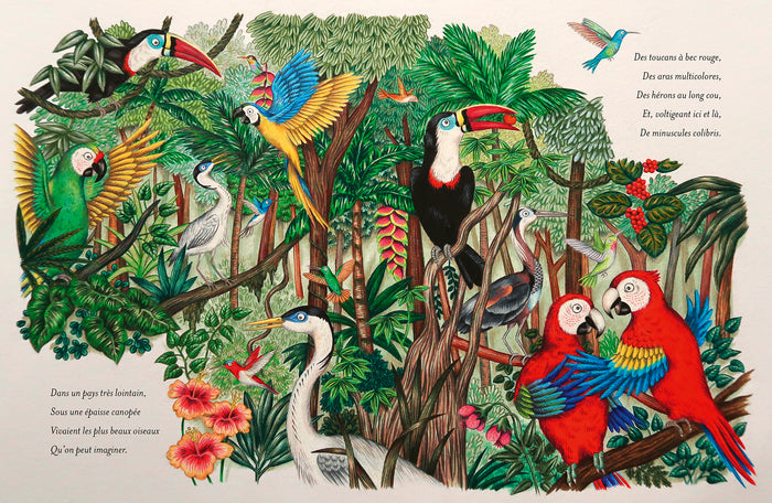 La légende du colibri