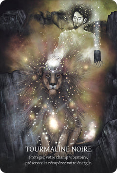 L'Oracle des cristaux chamaniques