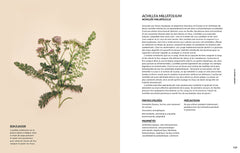 Les bonnes plantes - Une approche moderne de l'herboristerie