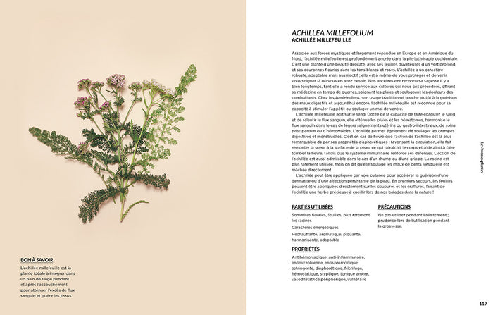 Les bonnes plantes - Une approche moderne de l'herboristerie