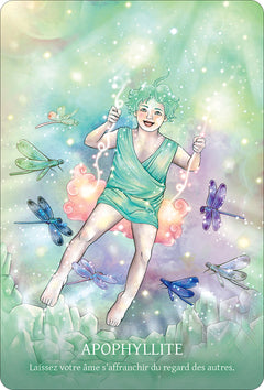 L'Oracle des cristaux chamaniques