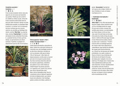 Cultiver en pots toute l'année