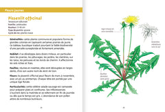 Les petits livres de la nature - Fleurs des prairies