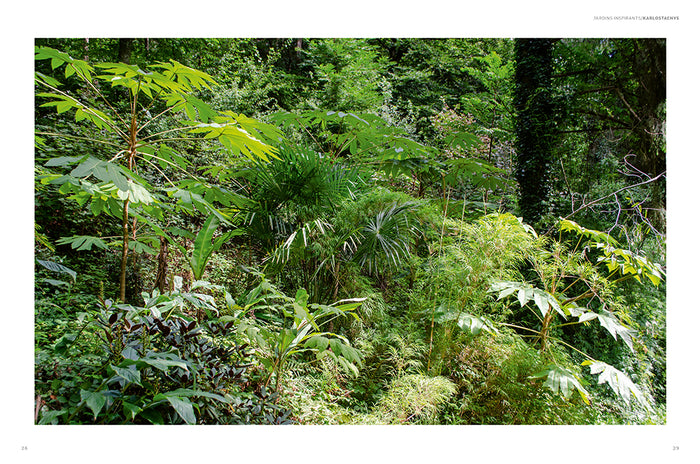 Jardin jungle - Inspirations et plantes adaptées à nos climats