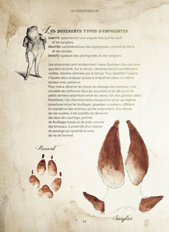 Le Forestarium - Mythes, légendes et explorations au coeur de la forêt