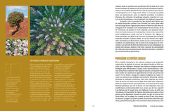 Jardiner - Les sciences cachées au jardin