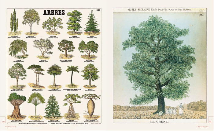 Leçons de choses & autres curiosités naturelles