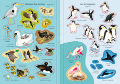 Les oiseaux - Mes petits autocollants