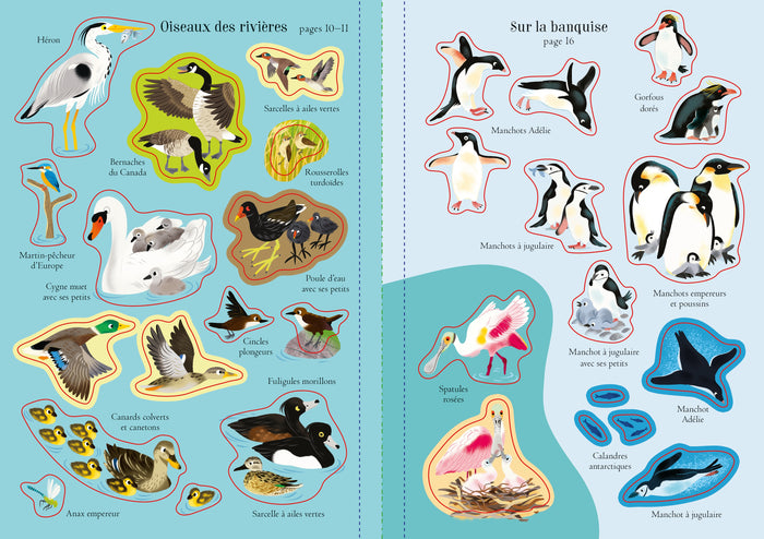 Les oiseaux - Mes petits autocollants