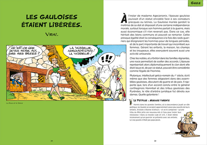 Astérix - Les vérités historiques expliquées
