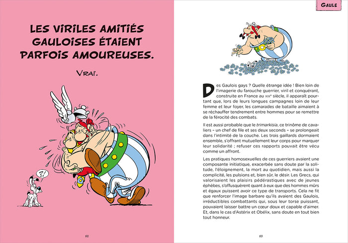 Astérix - Les vérités historiques expliquées