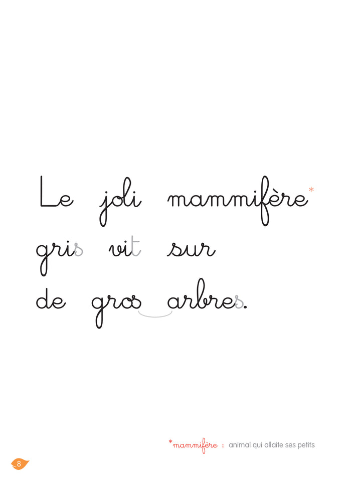 L'île du koala, niveau 1