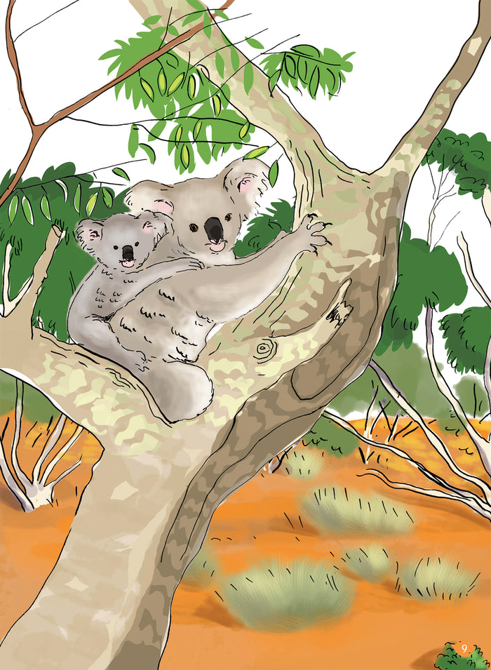 L'île du koala, niveau 1