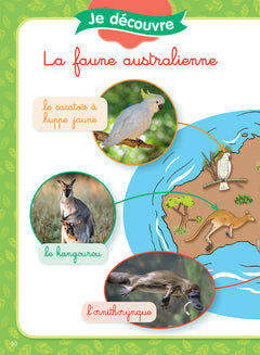 L'île du koala, niveau 1