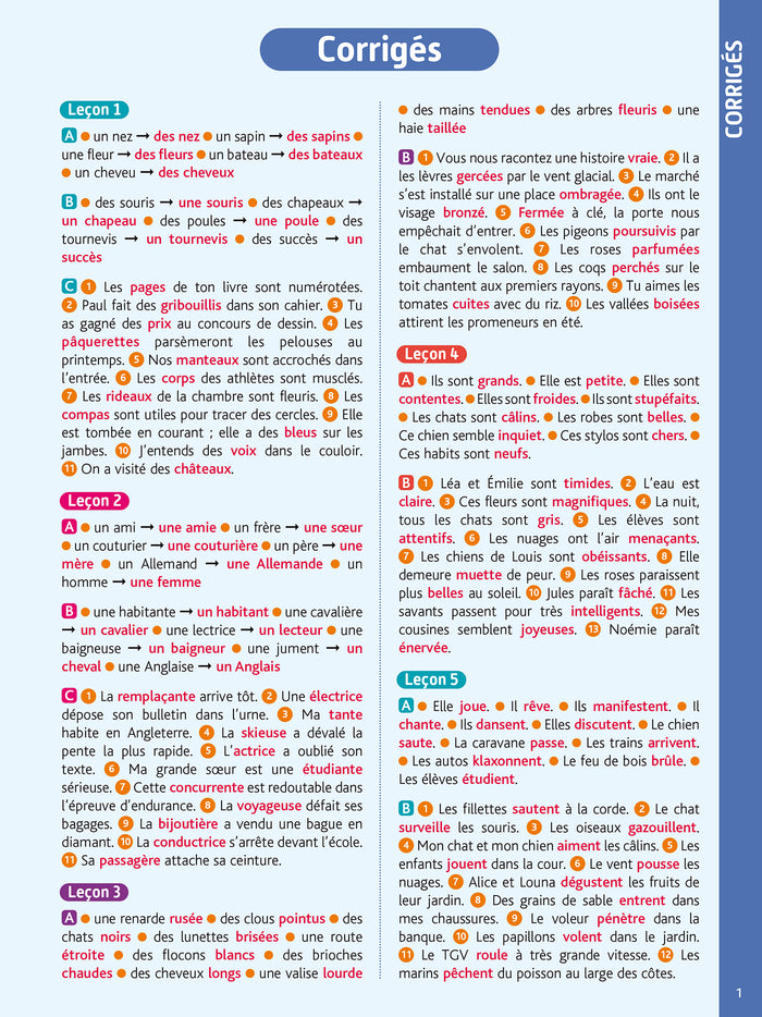 Le BLED Effaçable Orthographe CM1